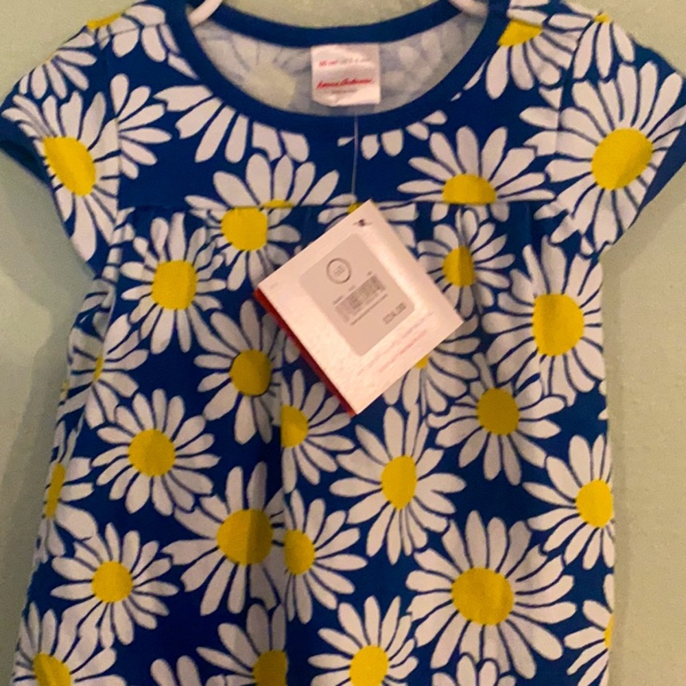 3-6 month Hanna dress